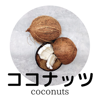 ココナッツ.png