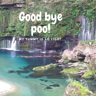 Good bye poo!blog.png